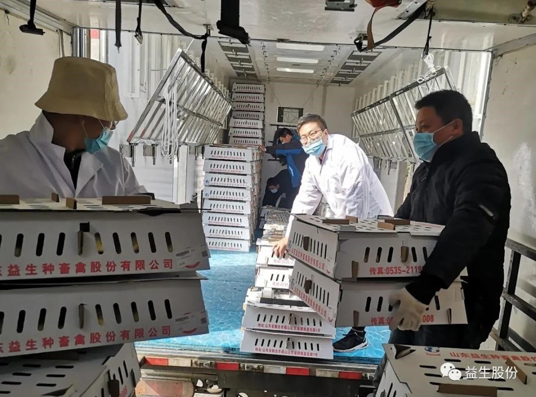 ����ע�����ߡ���������Ϊ1277�Ǽʵ�����Ϸ�Ŷӵ���