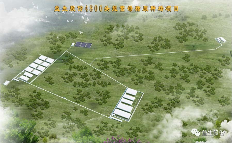 ��ϲѶ��������1277�Ǽʵ�����Ϸ�����������޹�˾ԭ������������Ŀ����