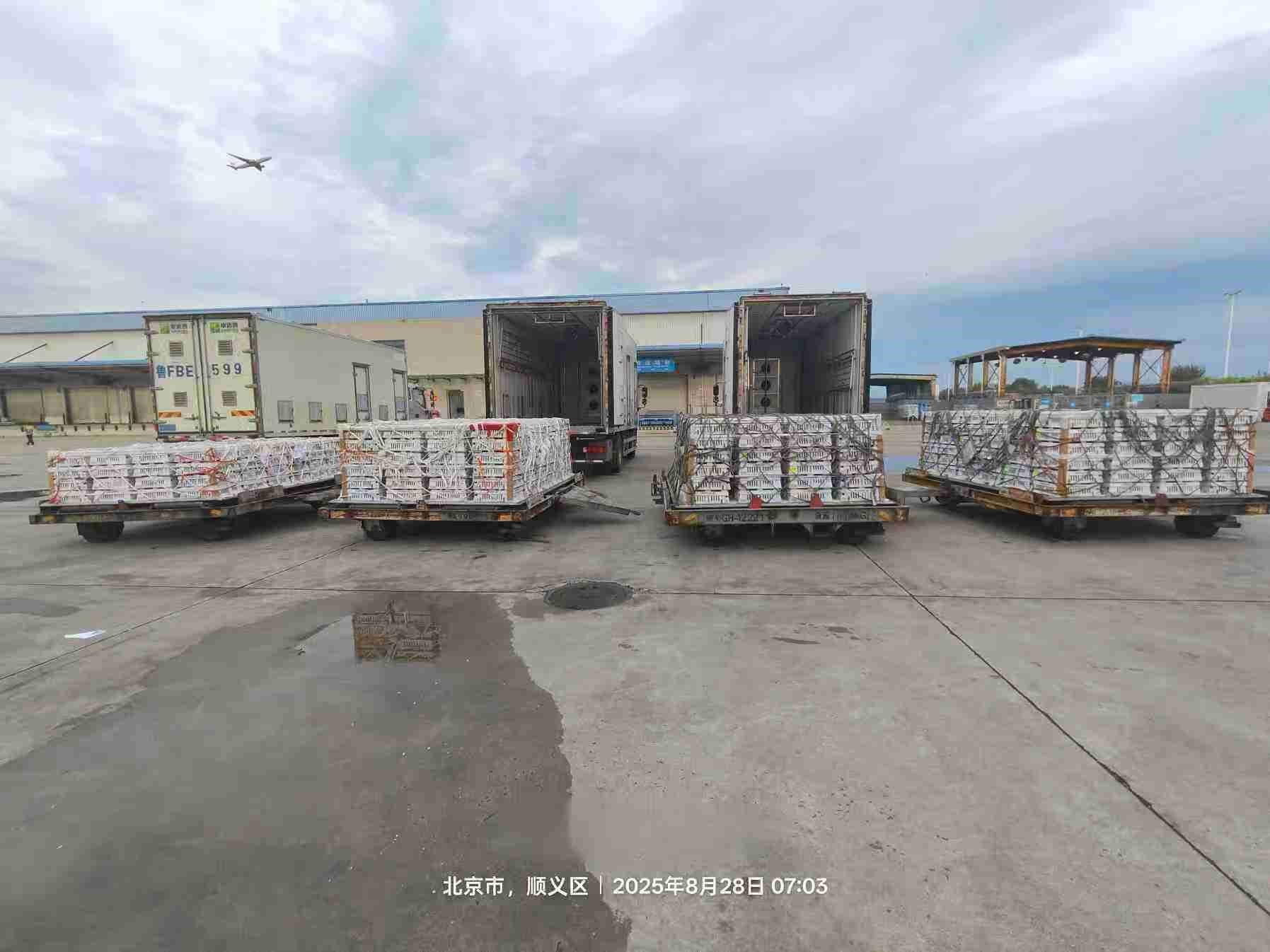 �����֡�1277�Ǽʵ�����Ϸ�ɷ��������ͻ��16��������ռ��59%�Ⱦ���ҵ��ͷ