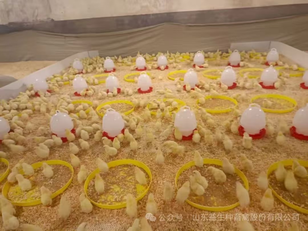 �����֡�ϲѶ��1277�Ǽʵ�����Ϸ�ɷ����ڵھ�������˳��ʵ����1.6��������������ּ��ɹ��볡