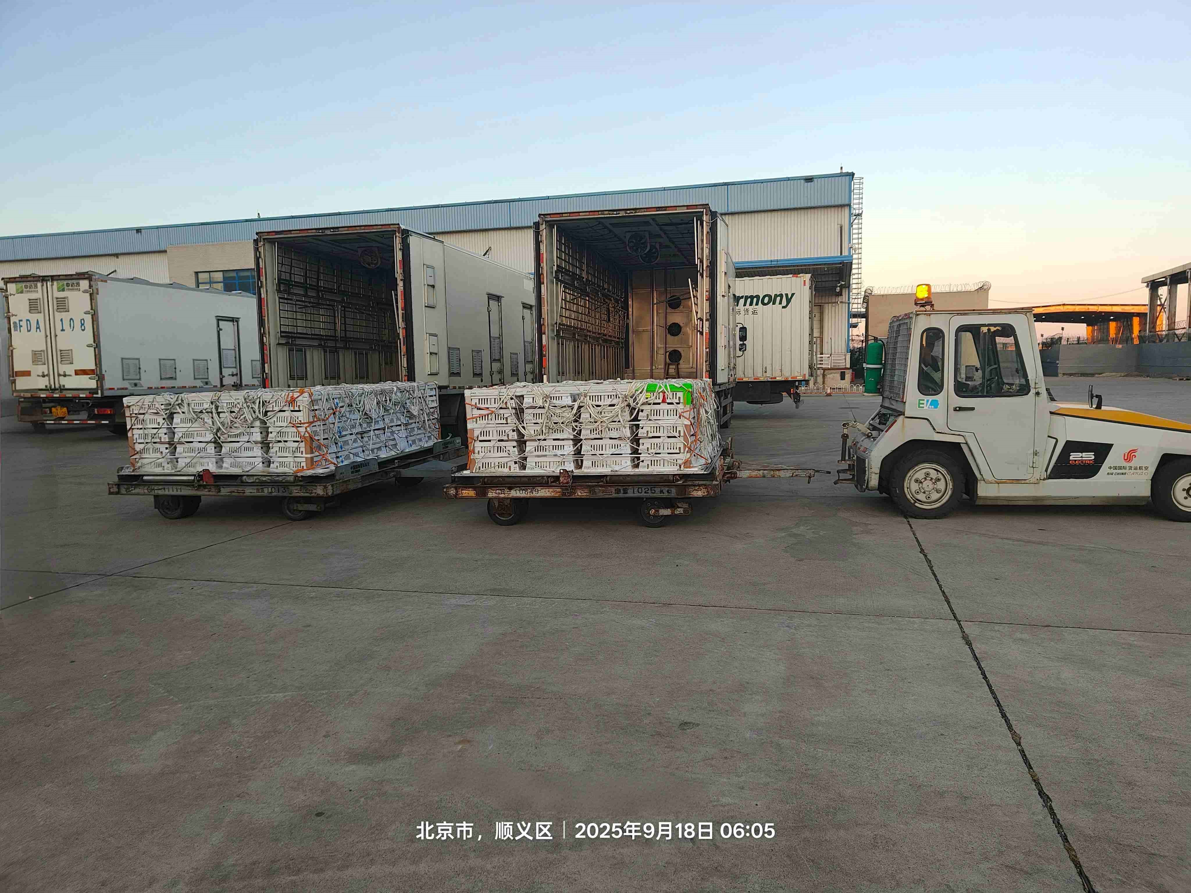 �����֡�����ӭ˶�� ������ͻ�ơ���1277�Ǽʵ�����Ϸ�ɷݳɹ�������ȵ�ʮһ����������ּ�